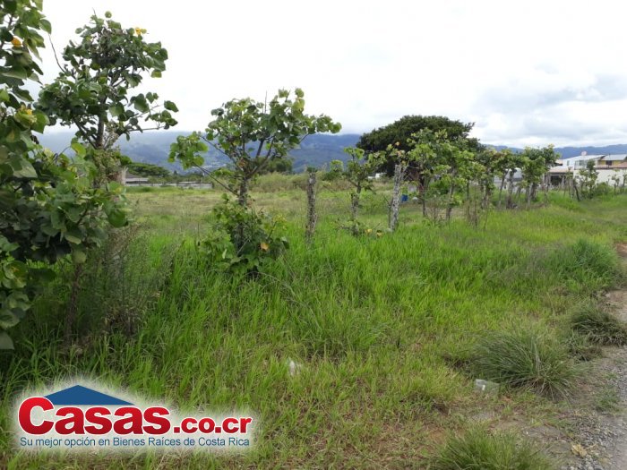 Costa Rica Real Estate