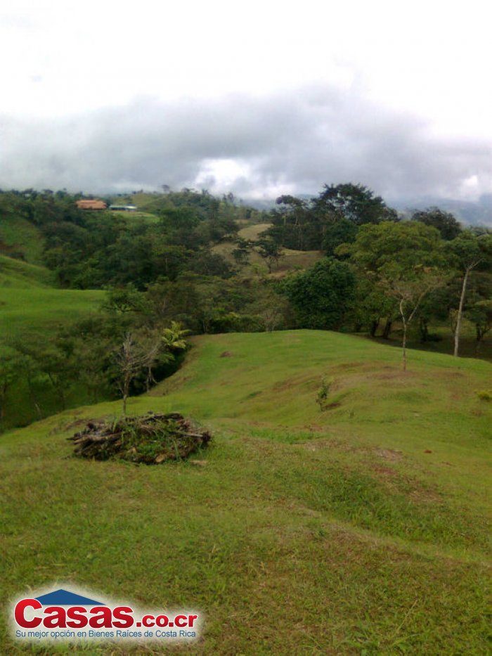 Finca en Venta