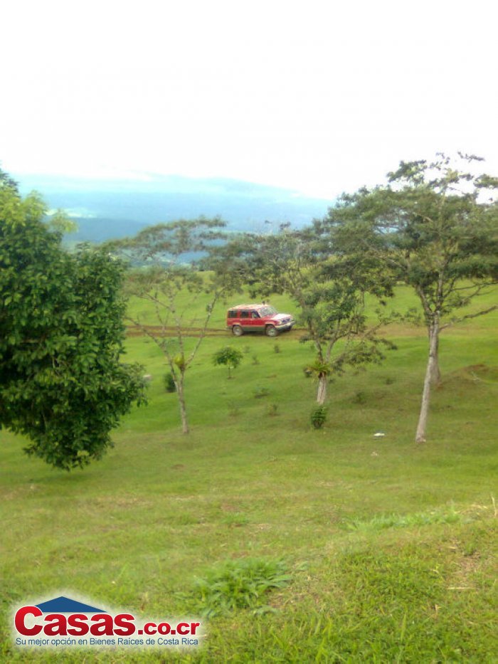 Costa Rica Real Estate