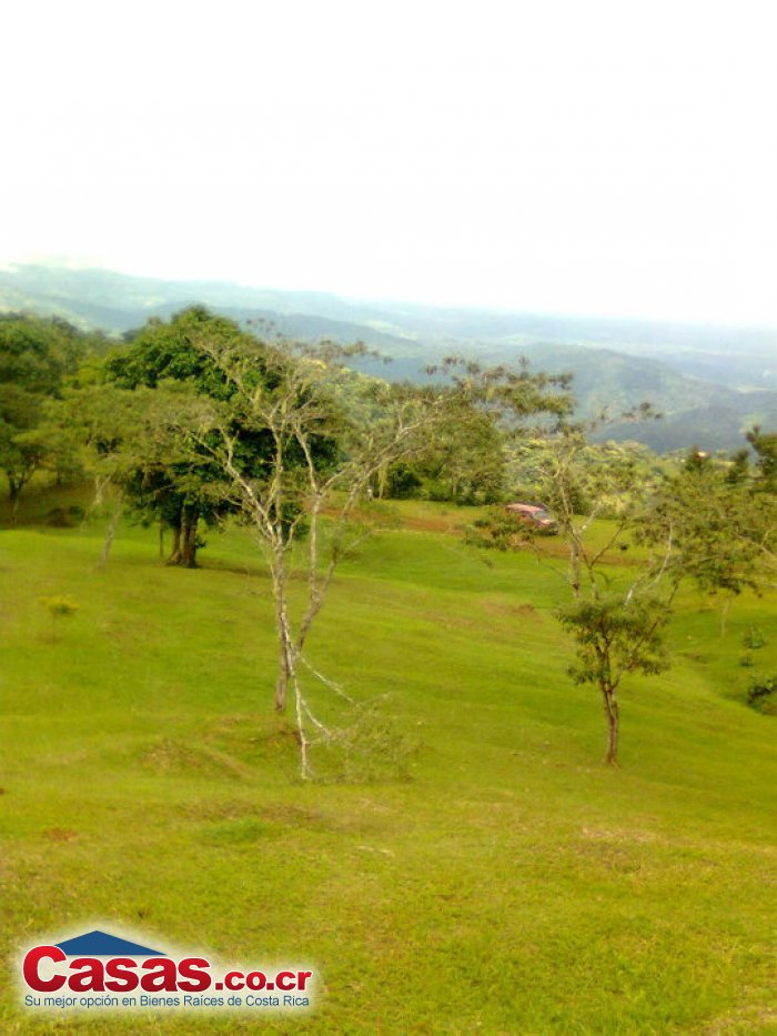 Properties in Costa Rica