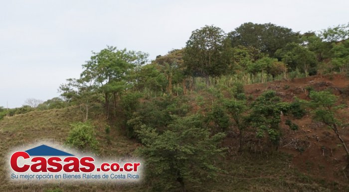 Real Estate Costa Rica