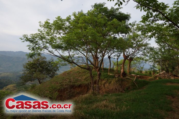 Costa Rica Real Estate