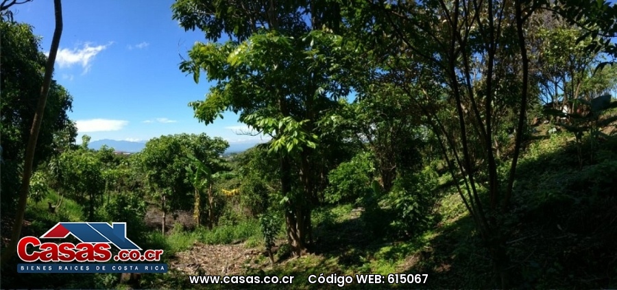 Properties in Costa Rica