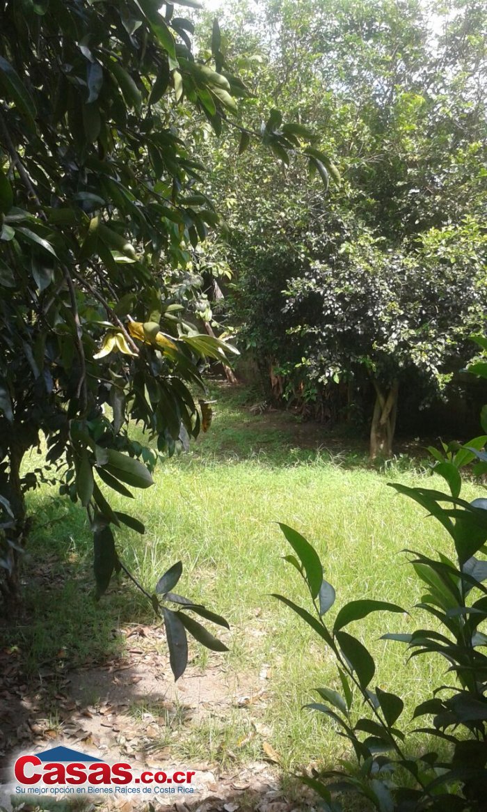 Real Estate Costa Rica