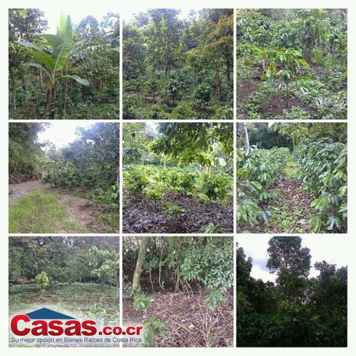 Real Estate Property