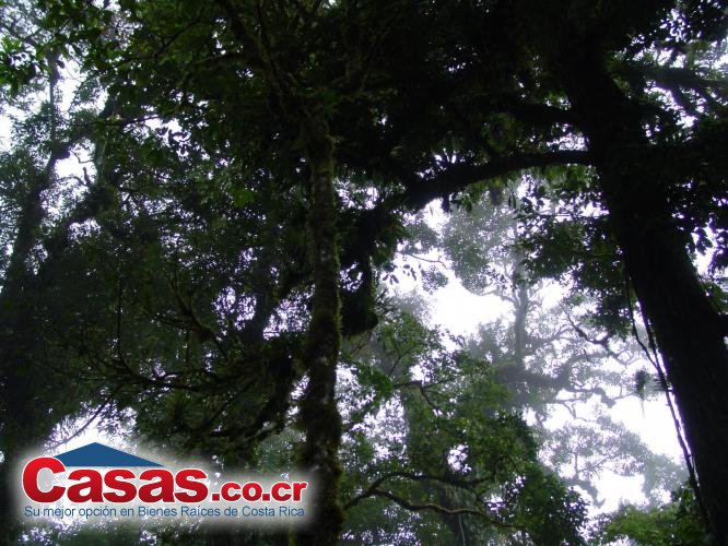 Real Estate Costa Rica