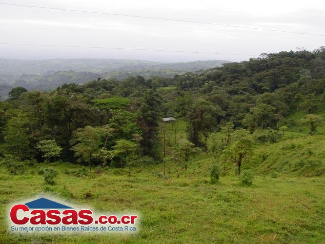 Costa Rica Real Estate