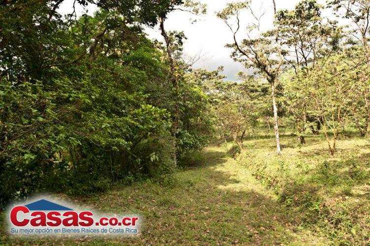 Properties in Costa Rica