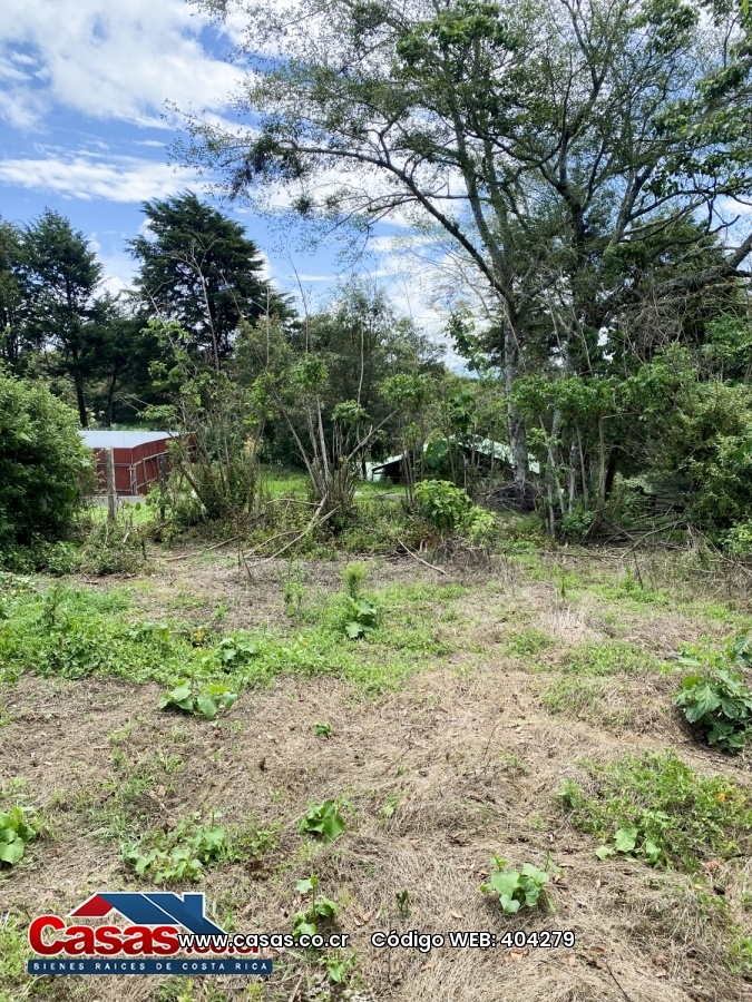 Real Estate Costa Rica