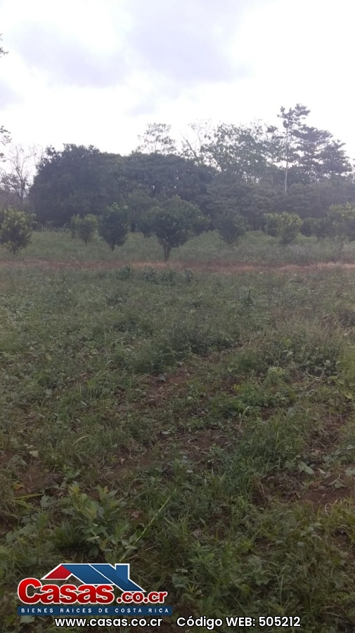 Finca en Venta