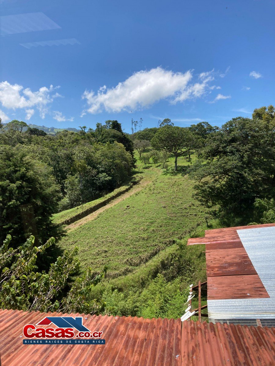 Costa Rica Real Estate