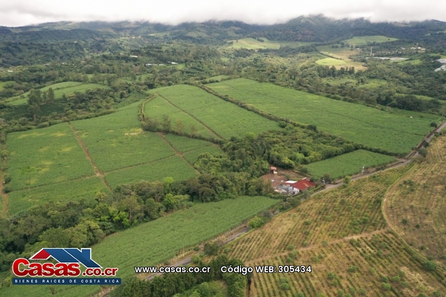 Finca en Venta