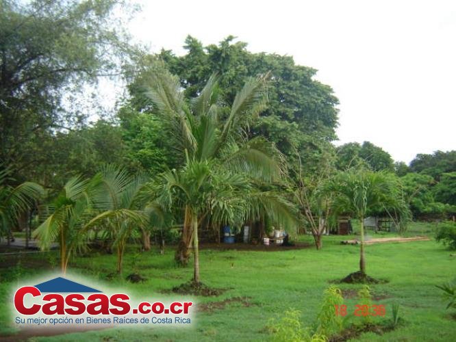 Properties in Costa Rica