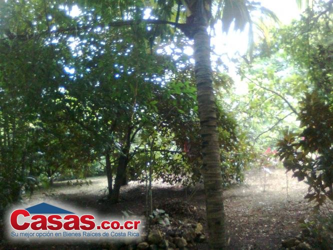 Properties in Costa Rica