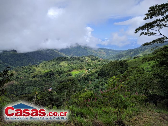 Costa Rica Real Estate