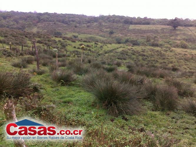 Costa Rica Real Estate