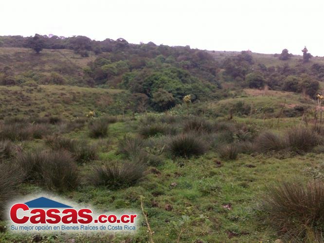 Properties in Costa Rica