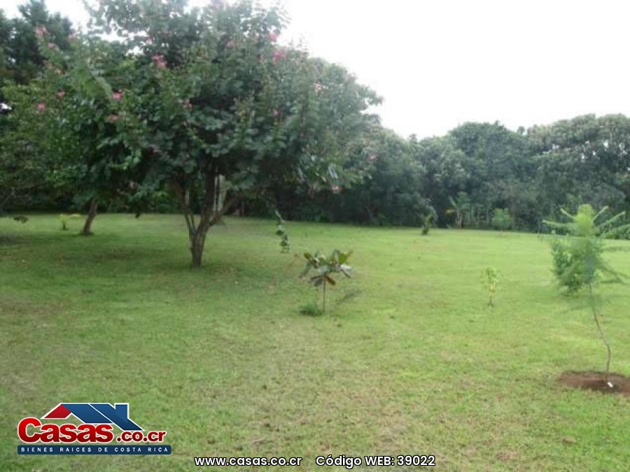 Costa Rica Real Estate