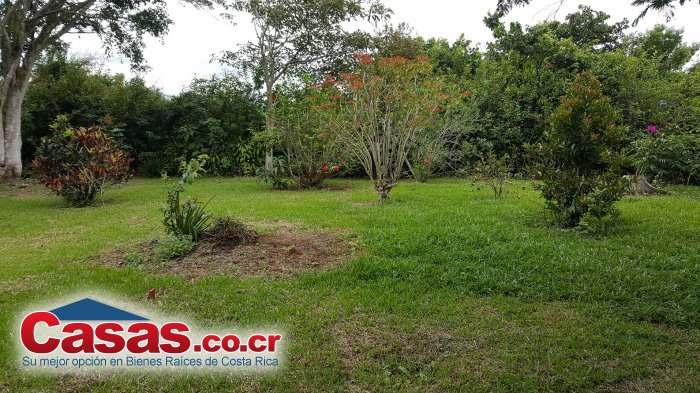 Real Estate Costa Rica