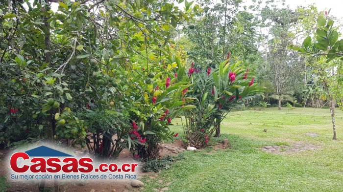 Finca en Venta