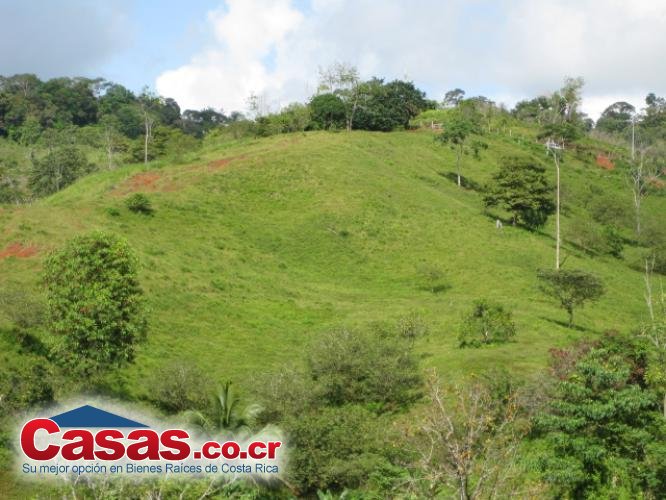 Finca en Venta
