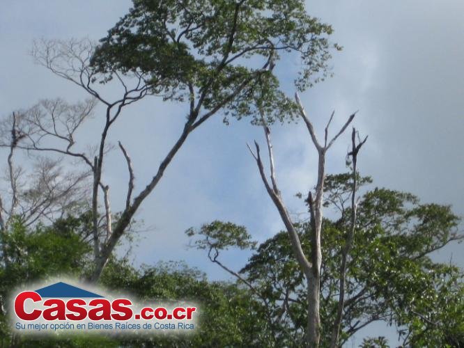 Costa Rica Real Estate