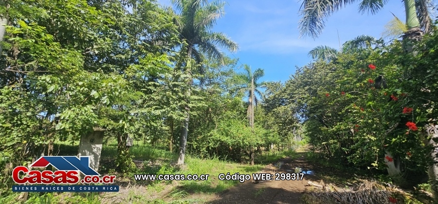 Lote en Venta