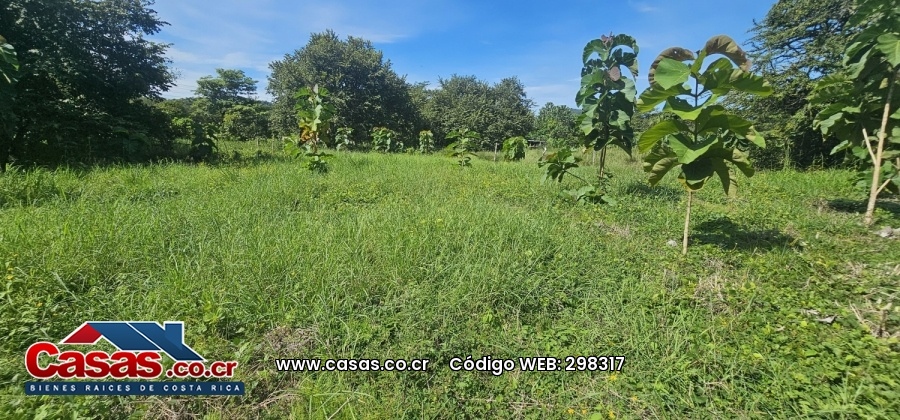 Costa Rica Real Estate