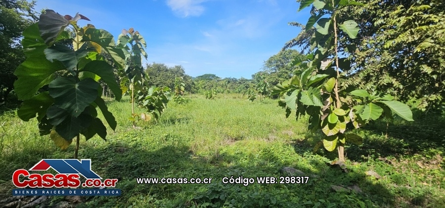 Properties in Costa Rica