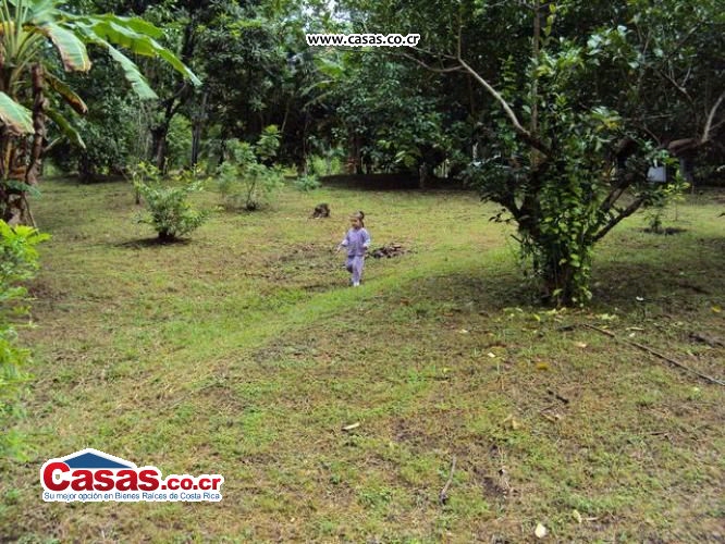 Costa Rica Real Estate