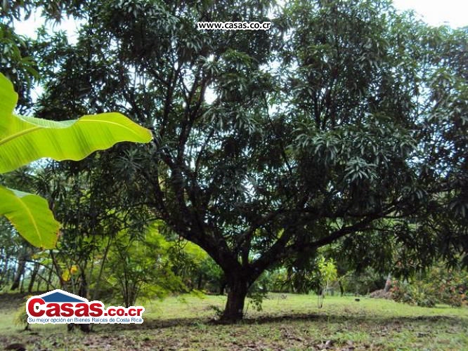 Properties in Costa Rica